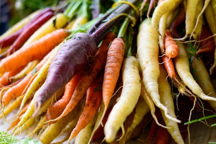 beautiful fresh market organic carrots in different colors, purple, white, orange red carrots on stems in big bunch closeup full frame healthy eating and healthy lifestyle vegetable photography