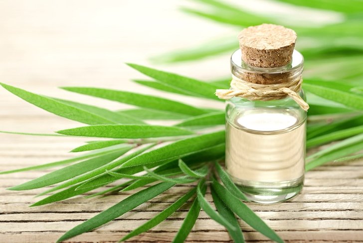 organic tea tree oil